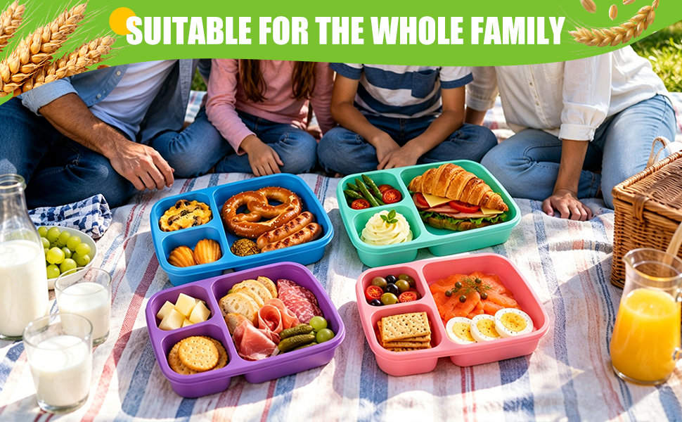 4 Pack Bento Lunch Box Set