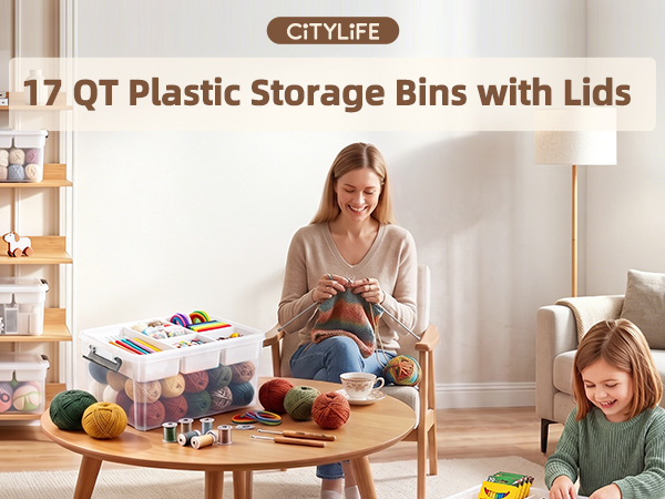 17 QT craft organizers and storage