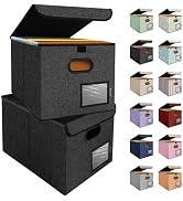 BALEINE File Organizer Box with Lid, Collapsible File Folder Organizer with Plastic Slide, Hangin...