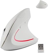 Wireless Mouse Ergonomic Vertical Ergo High Presion Optical Lightweight Cordless LED Light Cute W...