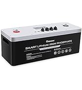 Renogy 48V 50Ah LiFePO4 Smart Lithium Iron Phosphate Battery Built-in BMS High Performance for RV...