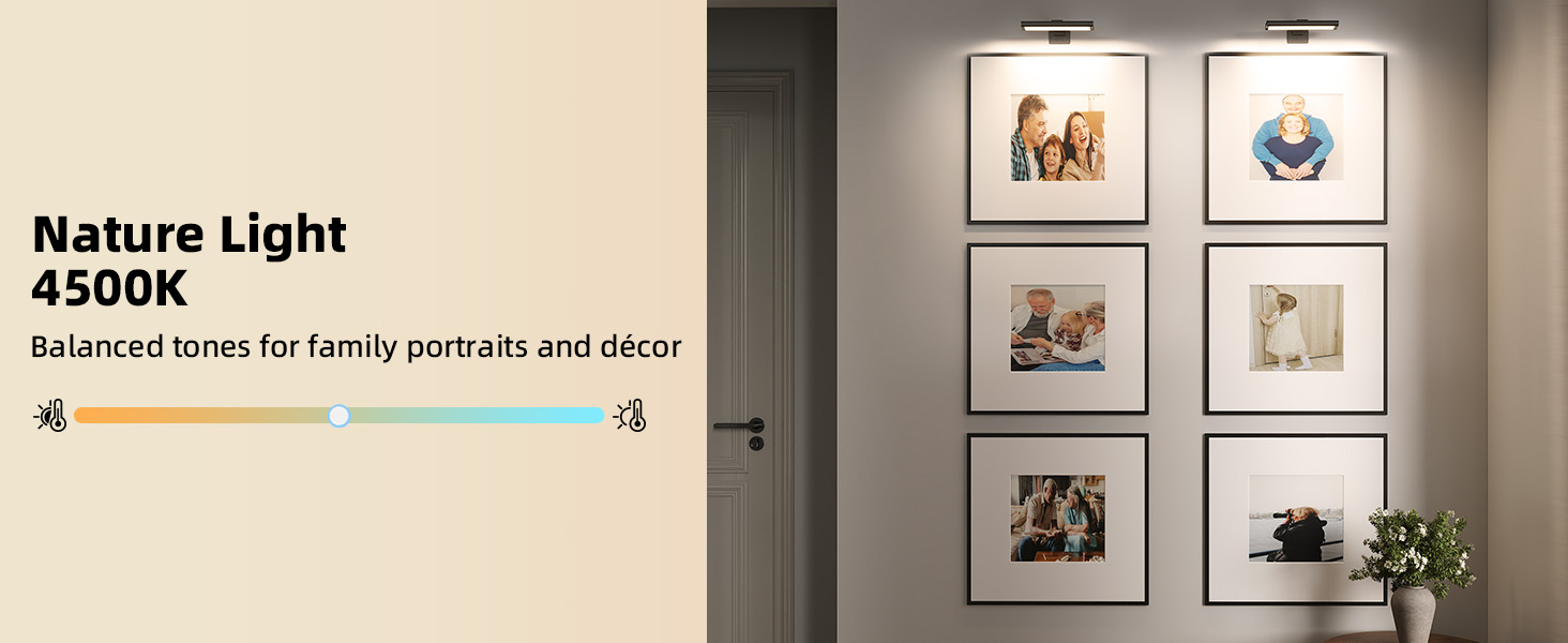 picture light wireless