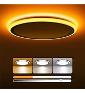 BLNAN Dimmable LED Flush Mount Ceiling Light with Night Light 2000K, 13 Inch 24W 3000K 4000K 5000...