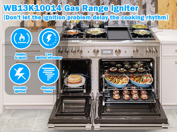 WB13K10014 Electrode Kit