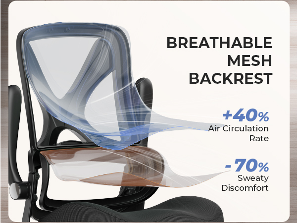 ergonomic office chair