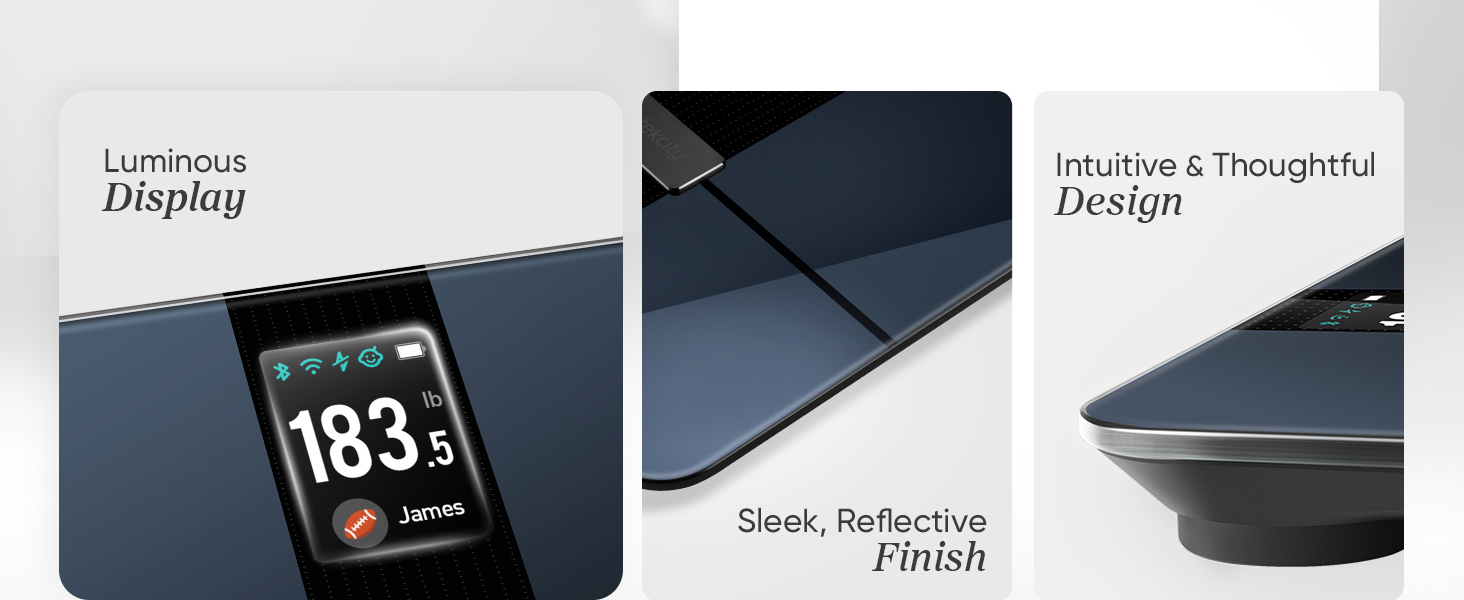 Etekcity smart scale