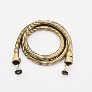 hose gold