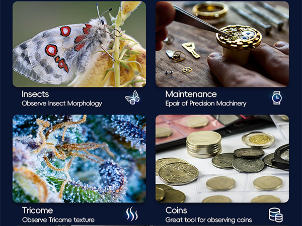 Educational diagram showing four panel images related to microscopy: insect morphology, watch maintenance, trichome texture, and coin observation.