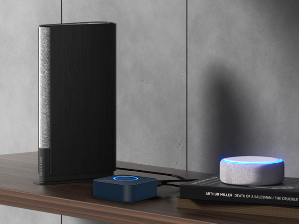Works with Echo (Alexa) and Google Home
