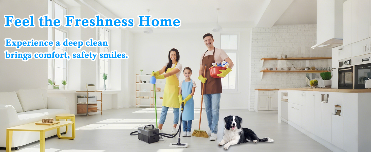 home steam cleaner