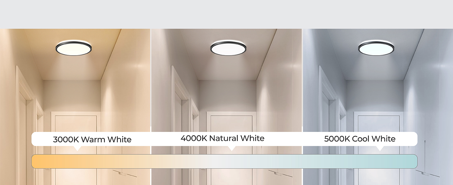 motion sensor ceiling light