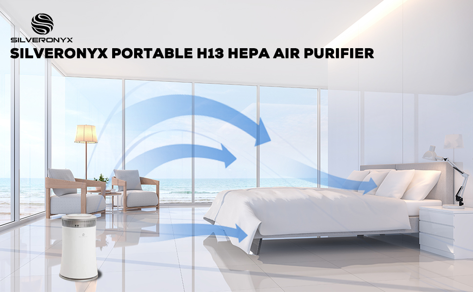 hepa air purifier small silver room onyx office mold large home filter cleaner clean carbon bedroom