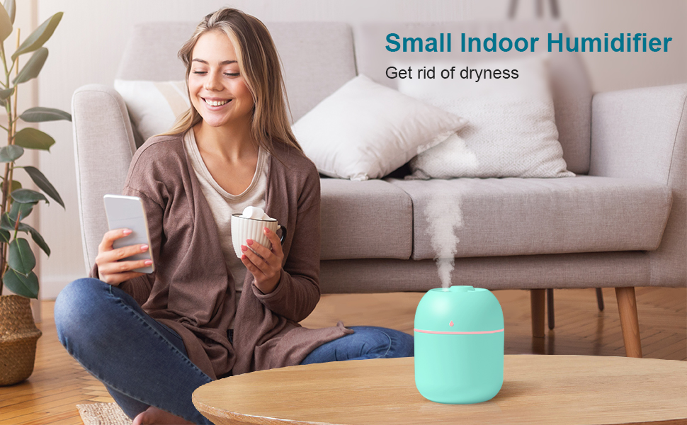 small humidifier