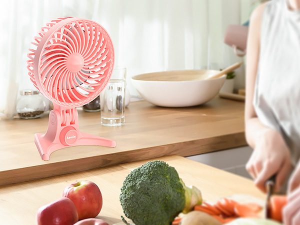 AaoLin USB Desk Fan