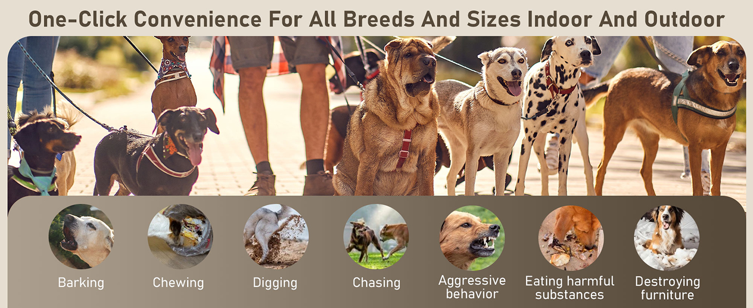 Dog Bark Deterrent Devices