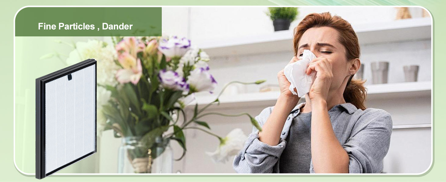 air purifier