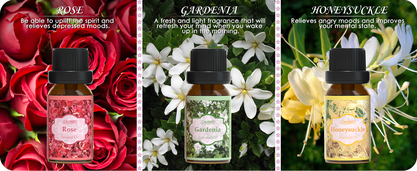 Take a journey into a sea of flowers.