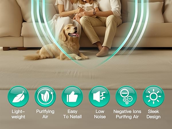 Plug-In Negative Ion Air Ionizers