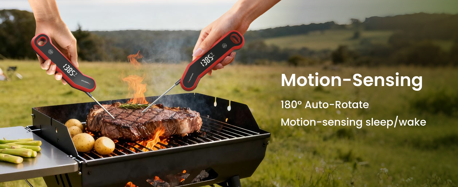 digital meat thermometer