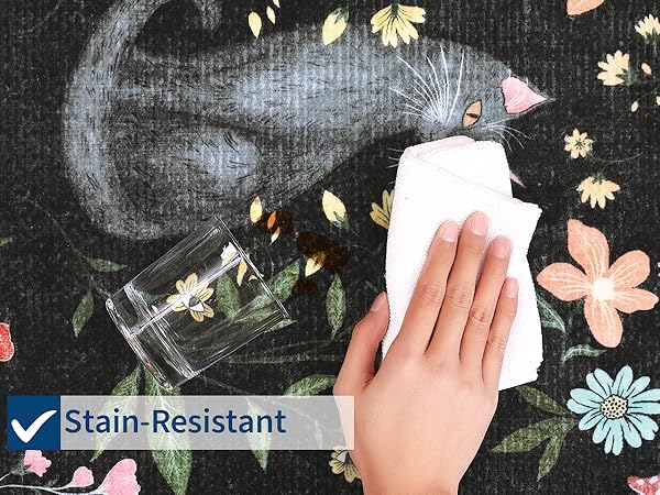 Stain Resistant Area Rug
