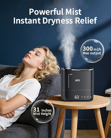 4L Humidifier Cool