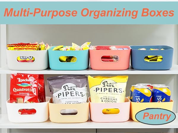 Multi-pack Storage Bin