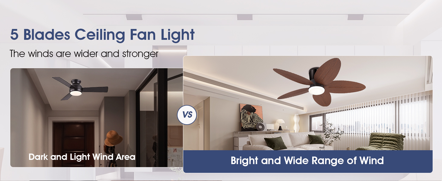 ceiling fan