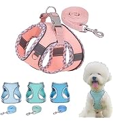 XXS Dog Harness and Leash Set, Reflective Soft Mesh Puppy Vest Cat Halter for Small Medium Pet Fe...