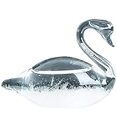 Weather Glass, Storm Glass Weather Forecaster, Swan Shape Bottle Liquid Barometer Weather Forecas...