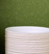 Paper Bowl