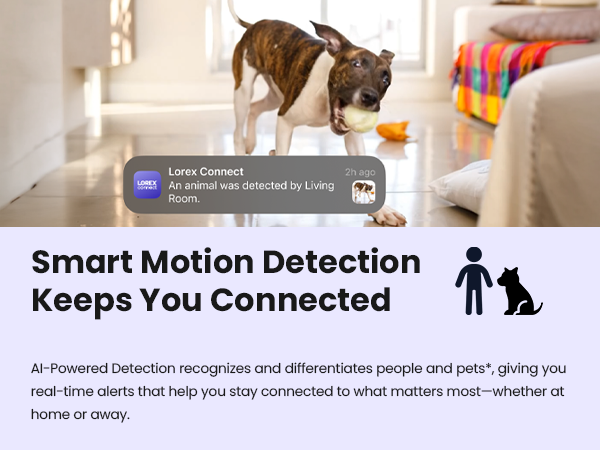 Smart Motion Detection Keeps You Connected