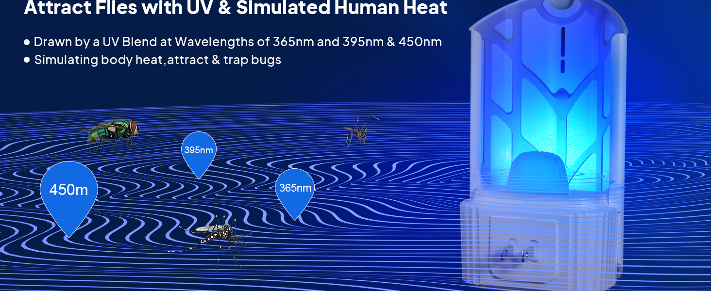 fruit fly traps for indoors