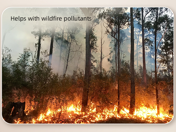 Air Purifier for Wildfire Smoke