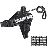 Dog Vest Harness and Leash Set, Animire Reflective Service Dog Vest in Training Dog Harness with ...