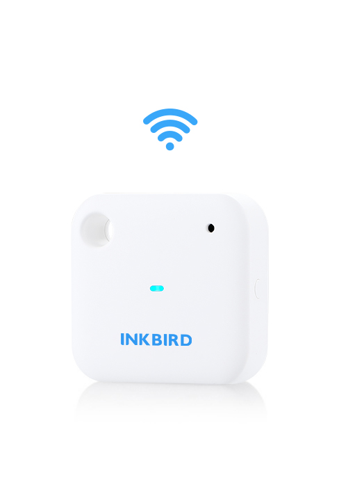 WiFi IBS-TH3 Sensor