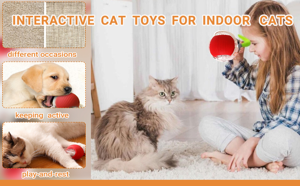 Interactive Dog Cat Toys Balls