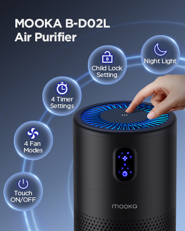 air cleaner