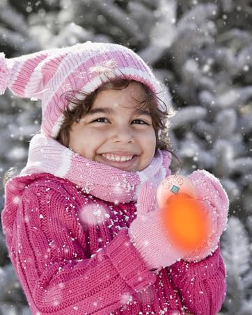 electric hand warmer