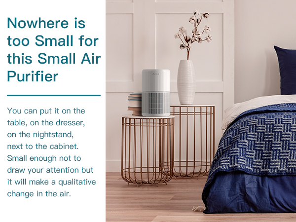 air purifier