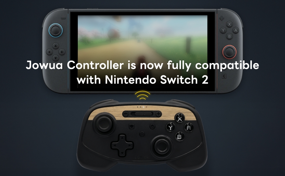 controller switch 2