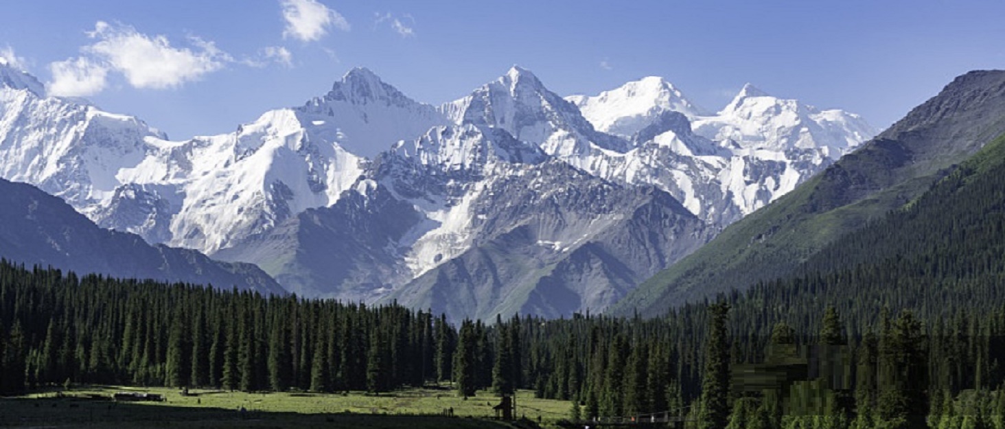 AODTOSIP Home &amp; Outdoors Essentials