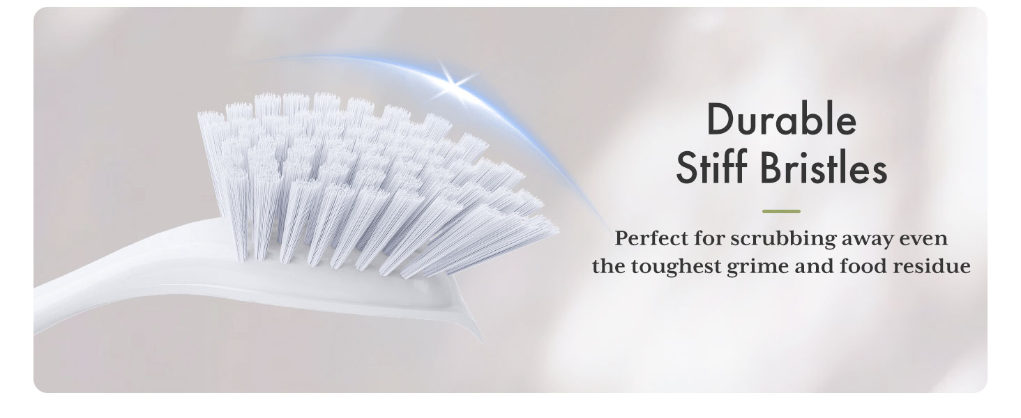 dish scrub brush