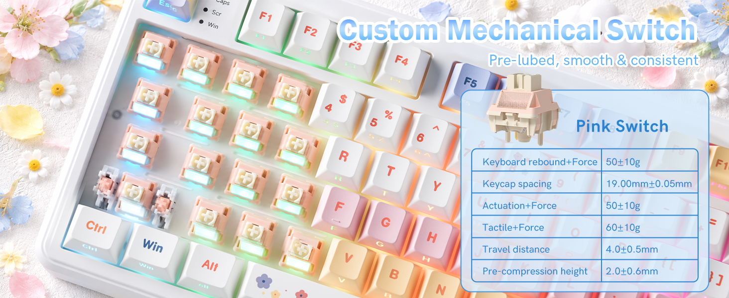 CUSTOM SWITCH