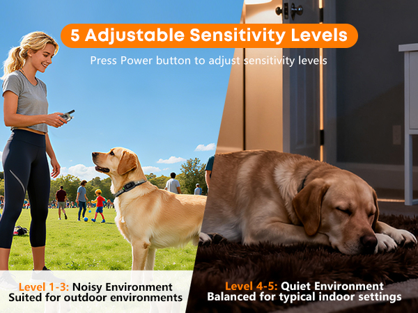 bark collar for medium dogs
