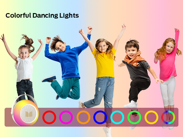 portable wireless speaker