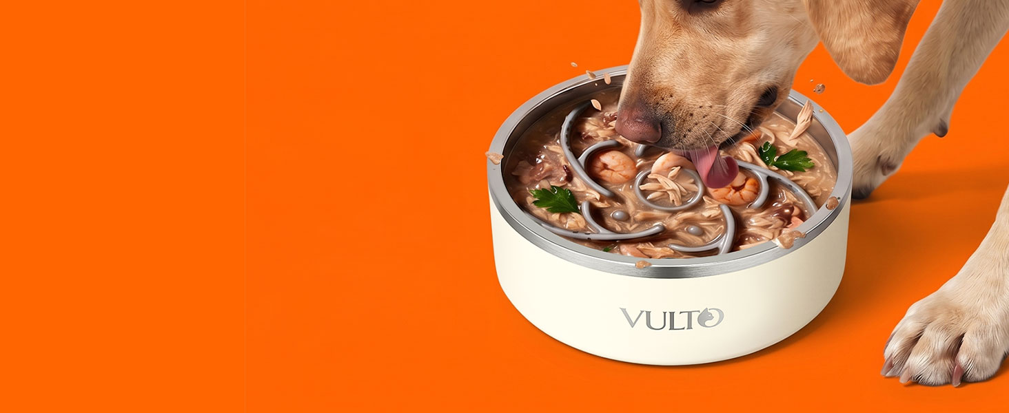 Metal dog bowl slow feeder silicone insert for wet and raw dog food