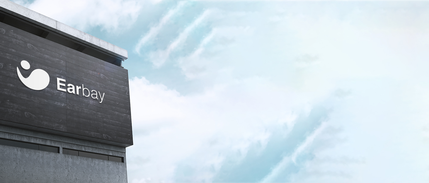 Wireless Headset with Microphone