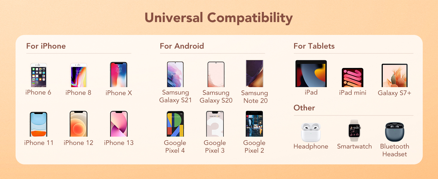 battery charger with wall plug