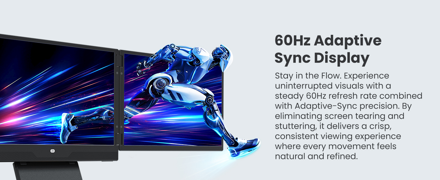 60Hz Adaptive Sync Display