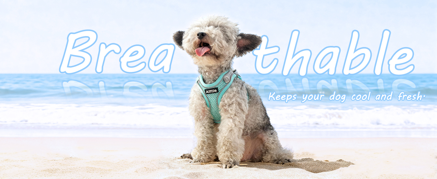 AIITLE Dog Harness, No-Pull Pet Harness with a Leash, Adjustable Soft Padded Dog Vest in Any Season